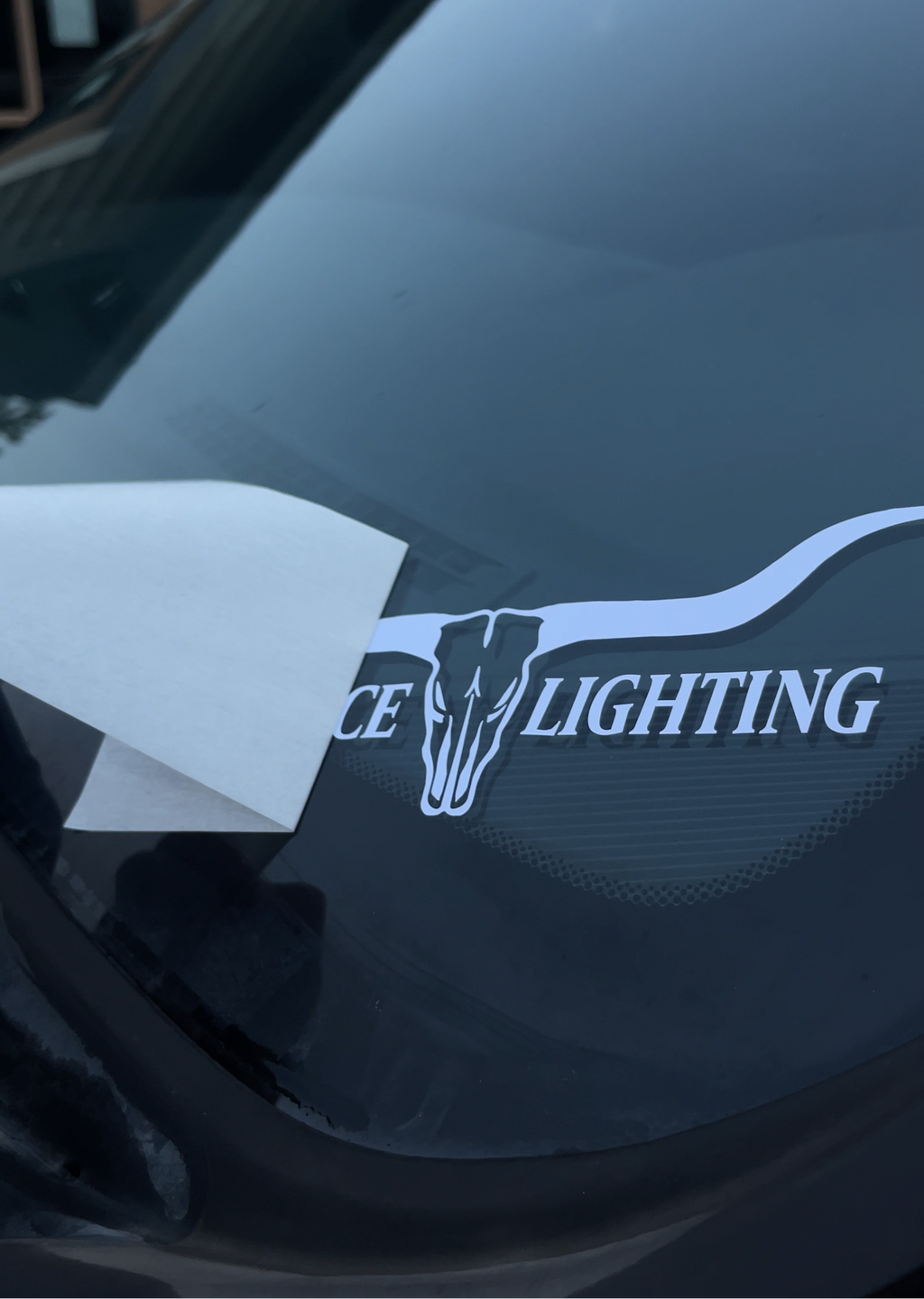 Longhorn Decals