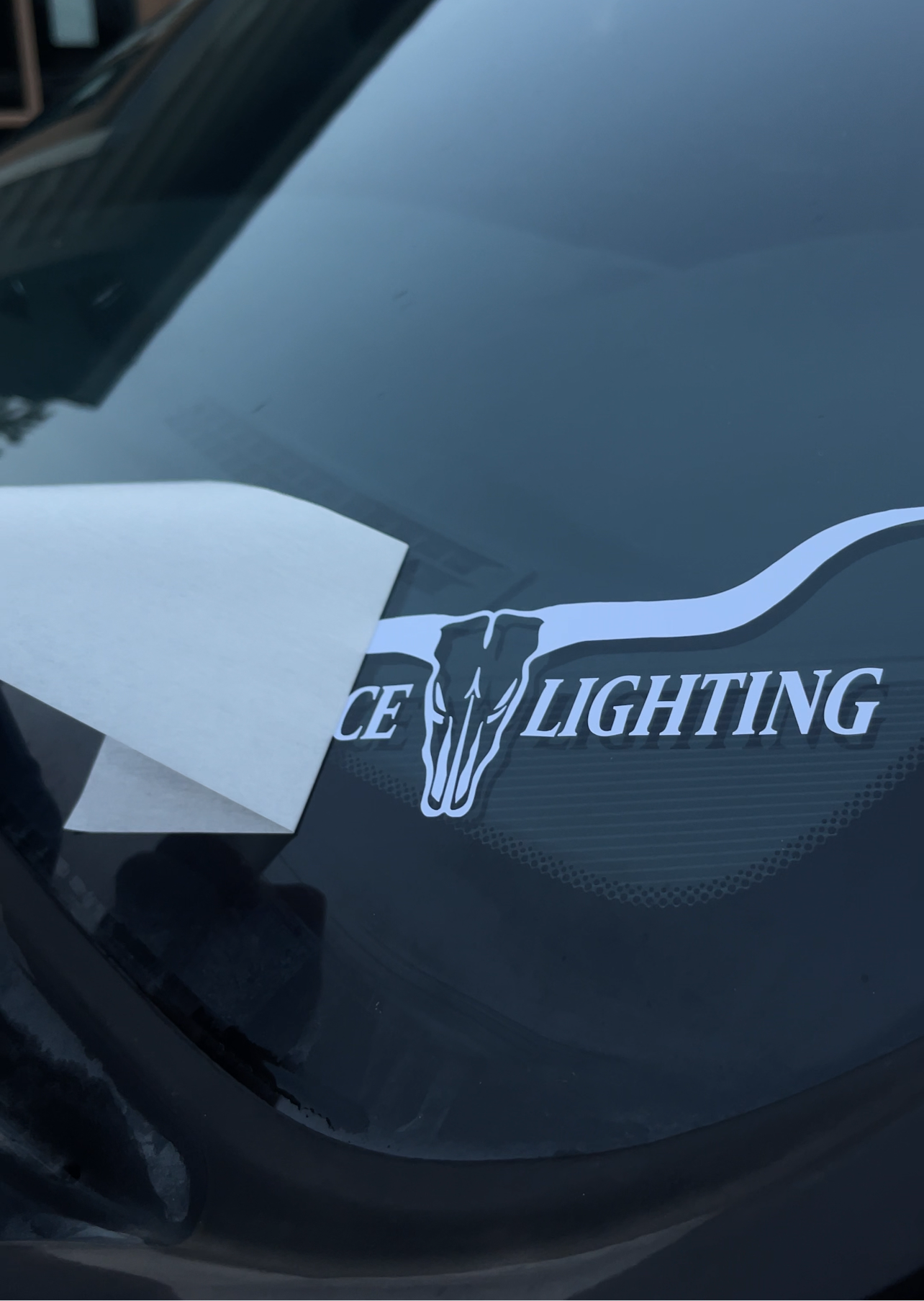 Longhorn Decals